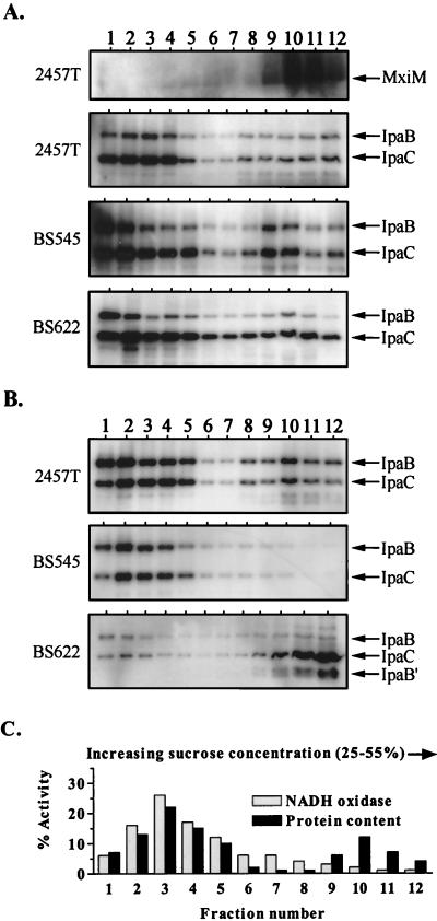 FIG. 7