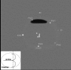 <b>FIG. 5.</b>