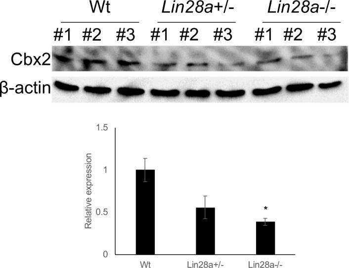 Figure 3—figure supplement 2.