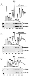 FIG. 8