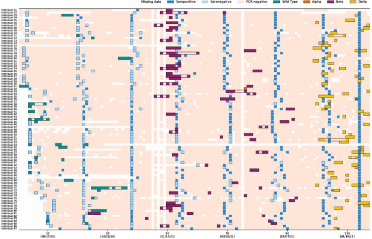 Figure 2: