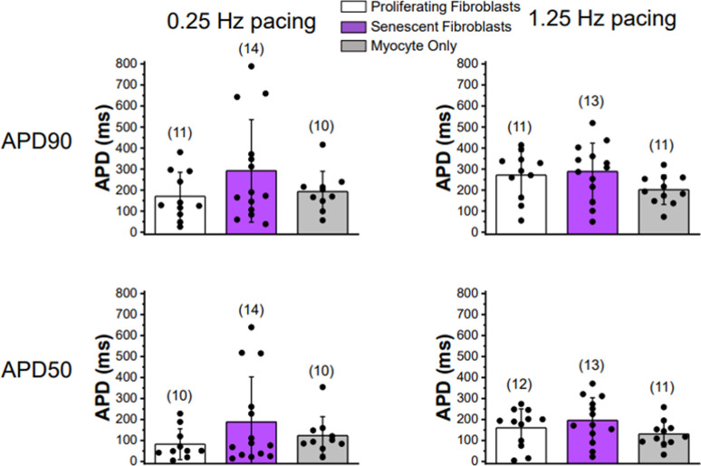 Figure 7—figure supplement 1.