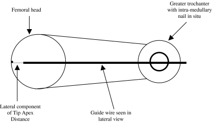 Fig. 5