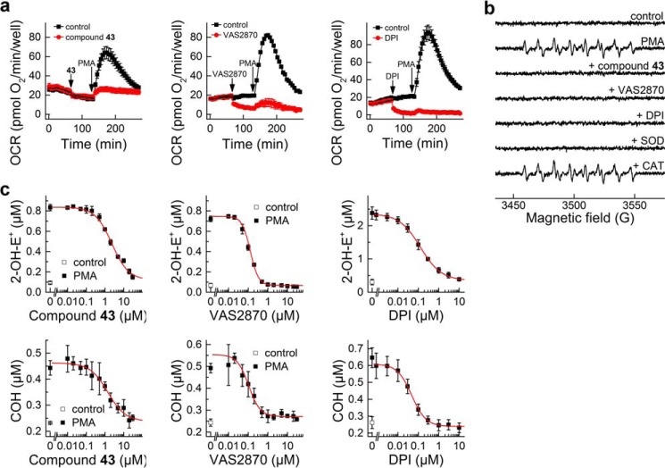 FIGURE 11.