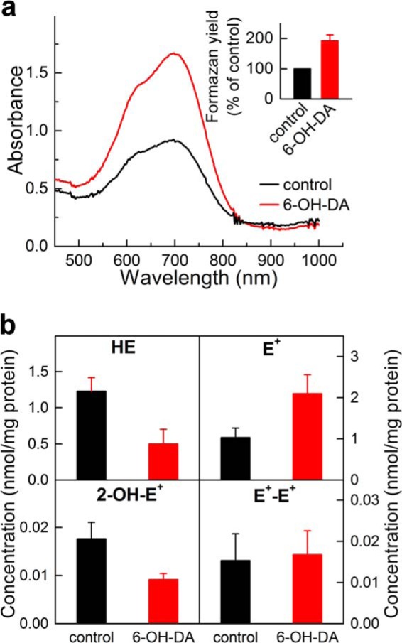 FIGURE 12.