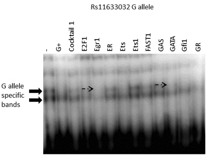 Fig. S7