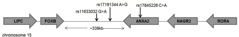 Fig. S2