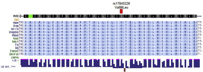 Fig. S1