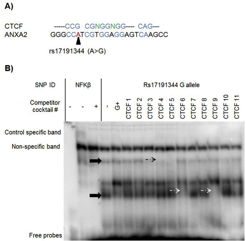 Fig. S8