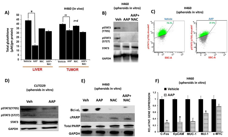 Fig 4: