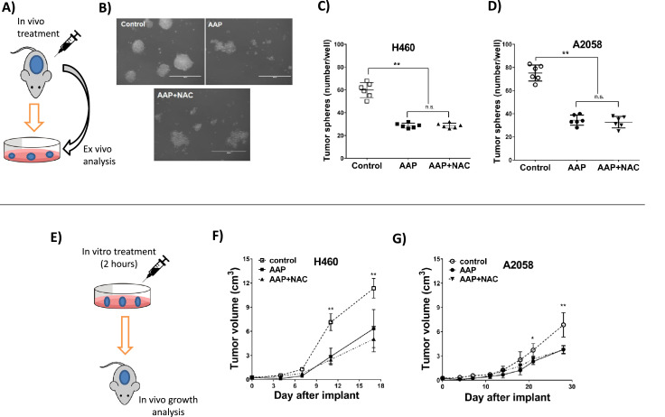 Fig 3: