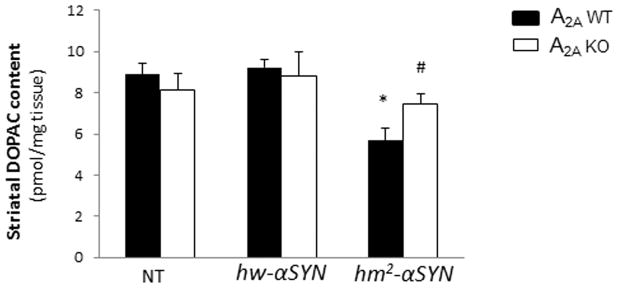 Fig.1