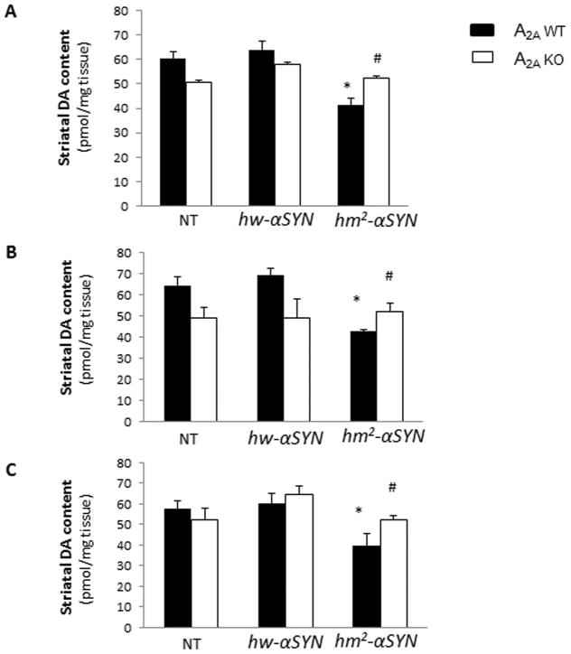 Fig.1