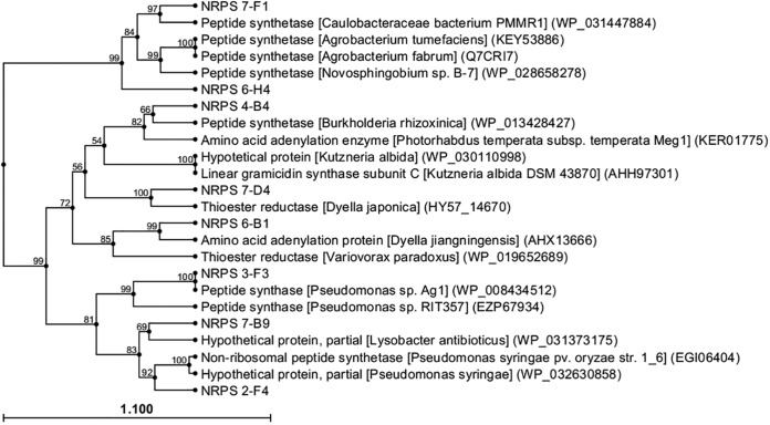 FIG 1