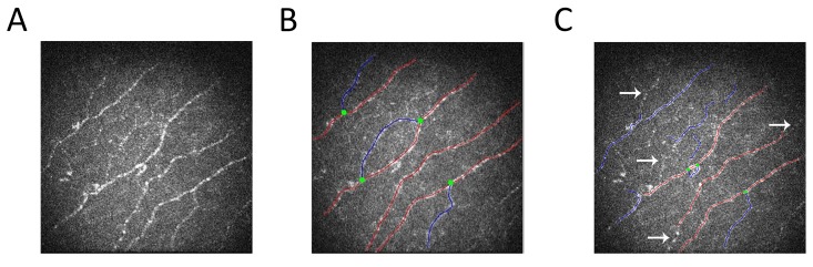 Fig 3