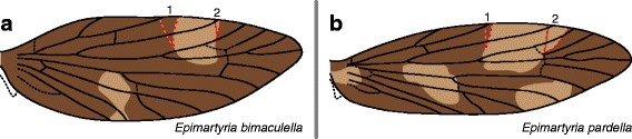 Fig. 13