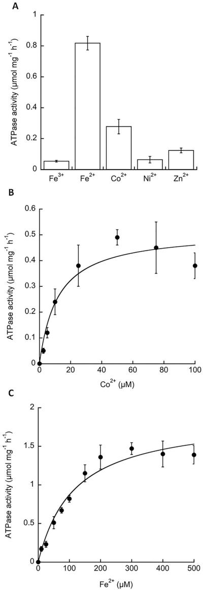 Fig 5