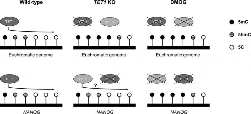 Figure 6.