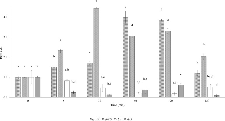 FIGURE 5