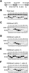 Figure 6.