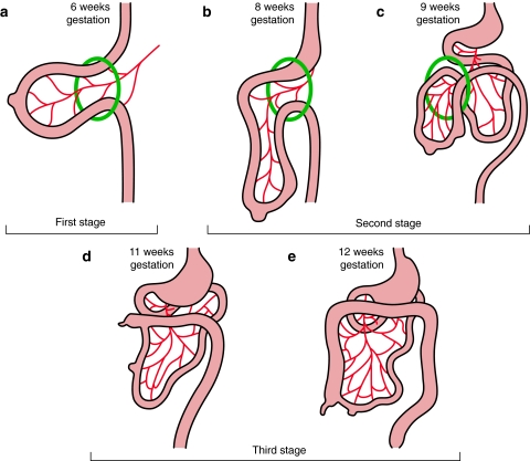 Fig. 4