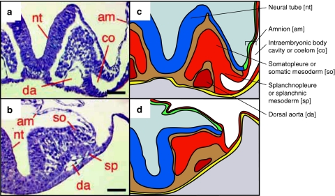 Fig. 2