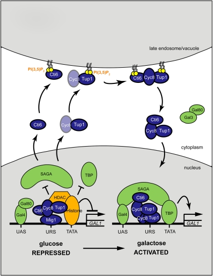 Figure 7.