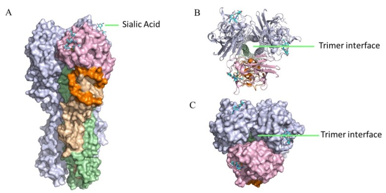 Figure 2