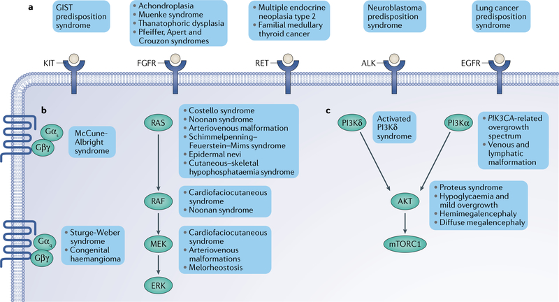 Fig. 4 |