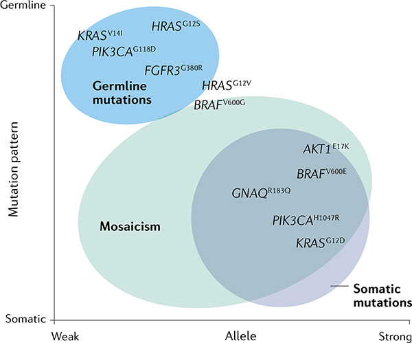 graphic file with name nihms-1658316-f0005.jpg