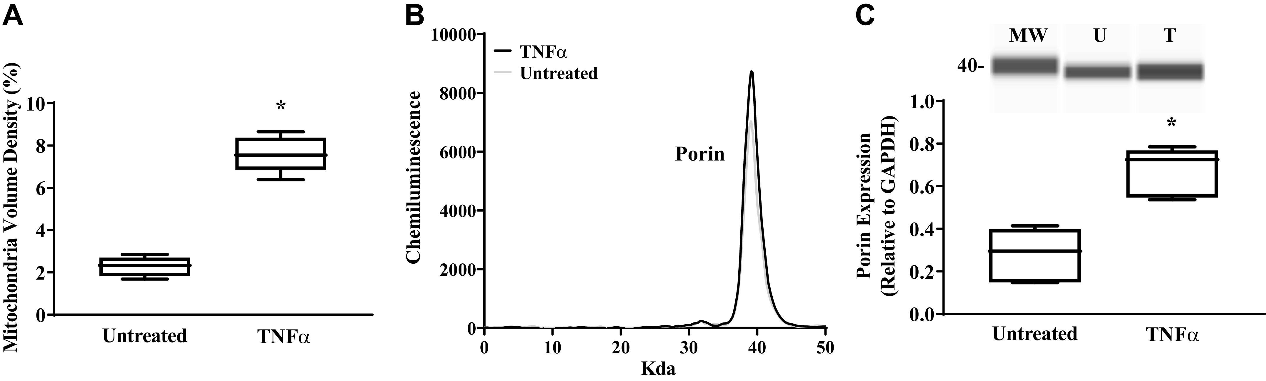 Figure 9.