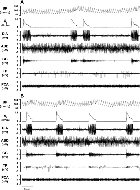 Fig. 10.