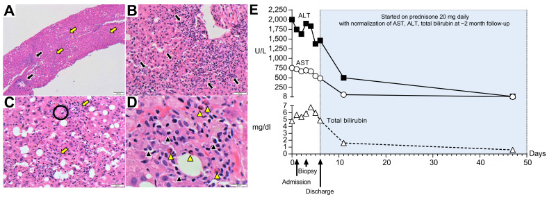 Fig. 1