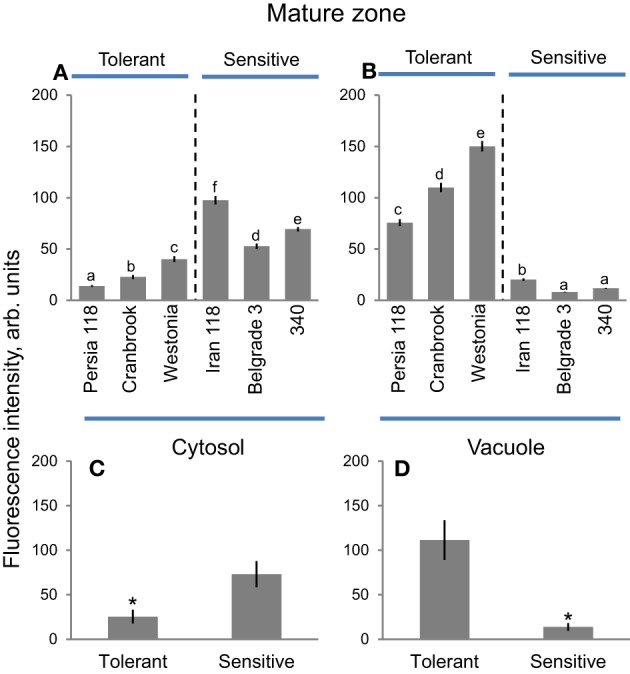 Figure 10