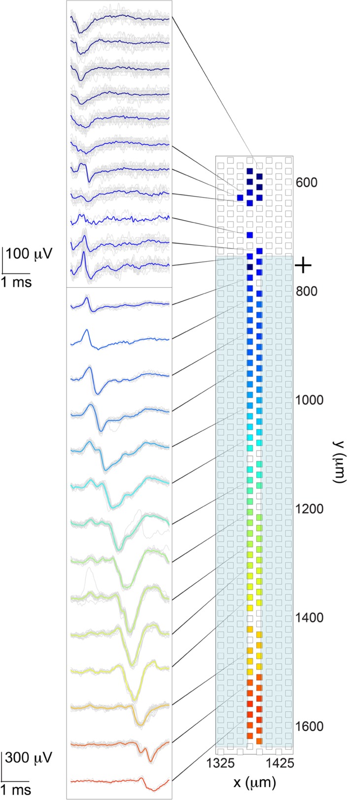 Fig 10