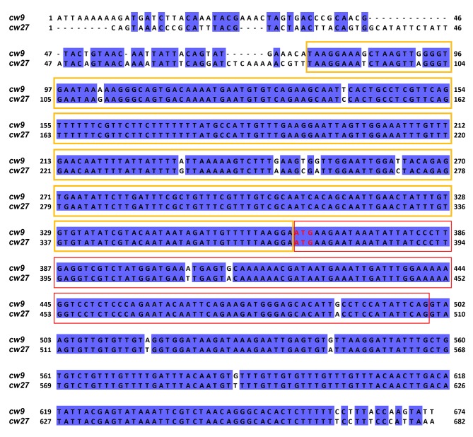 Figure 4—figure supplement 1.