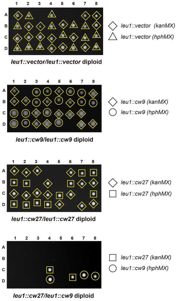 Figure 3—figure supplement 2.