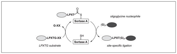 Figure 15.3.1