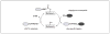 Figure 15.3.1