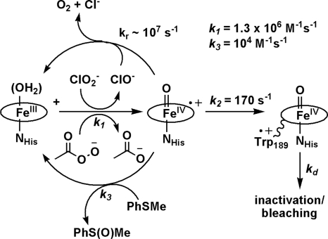 Scheme 1.