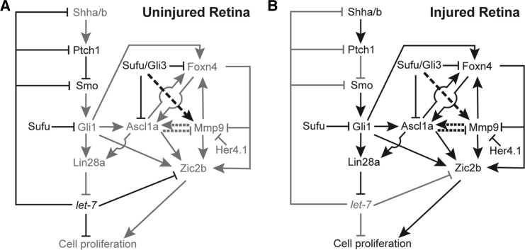 Figure 7