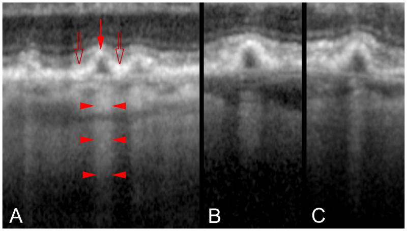 Figure 15