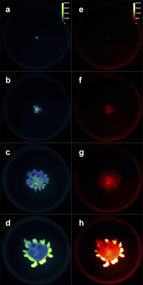 Fig. 1.