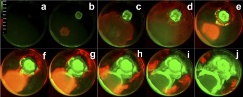 Fig. 4.