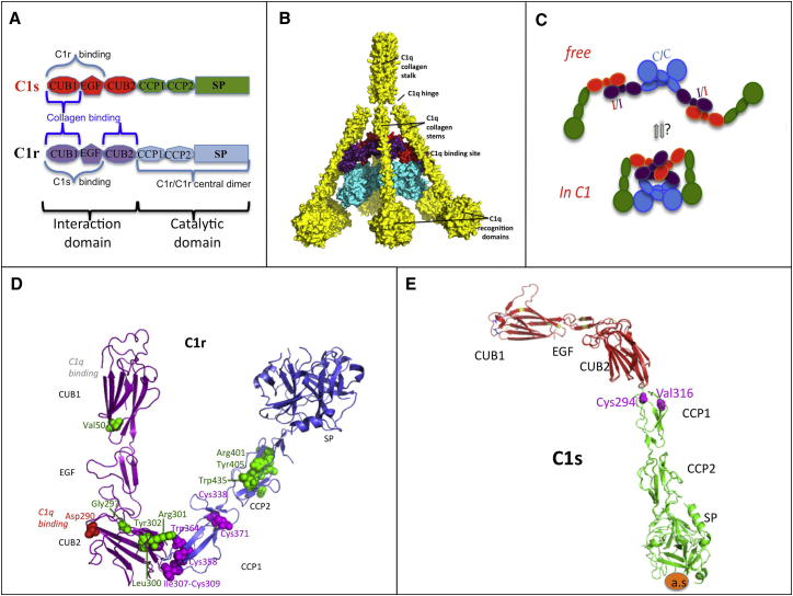 Figure 3