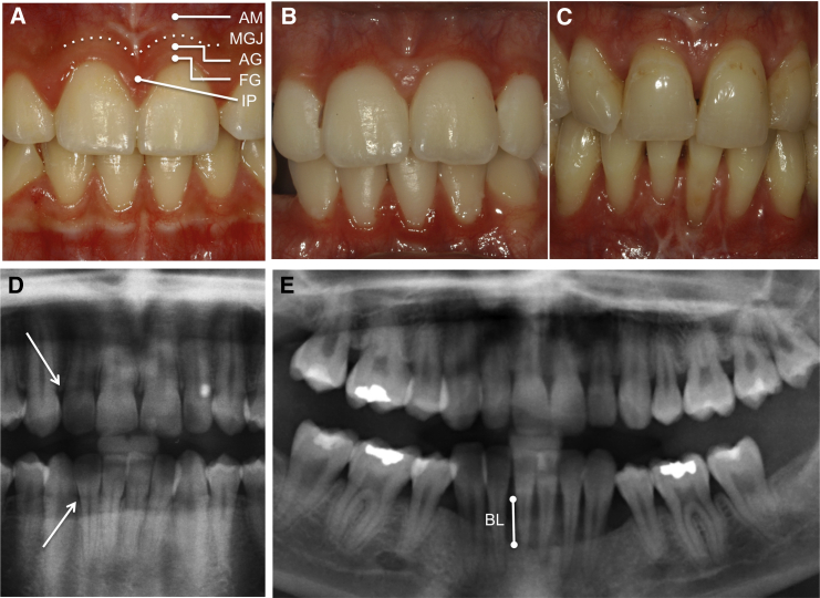 Figure 2