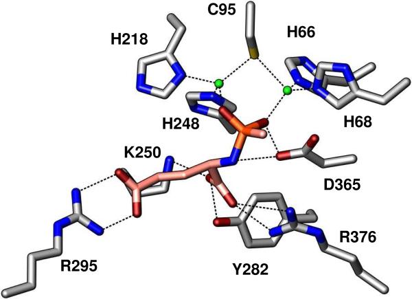 Figure 9