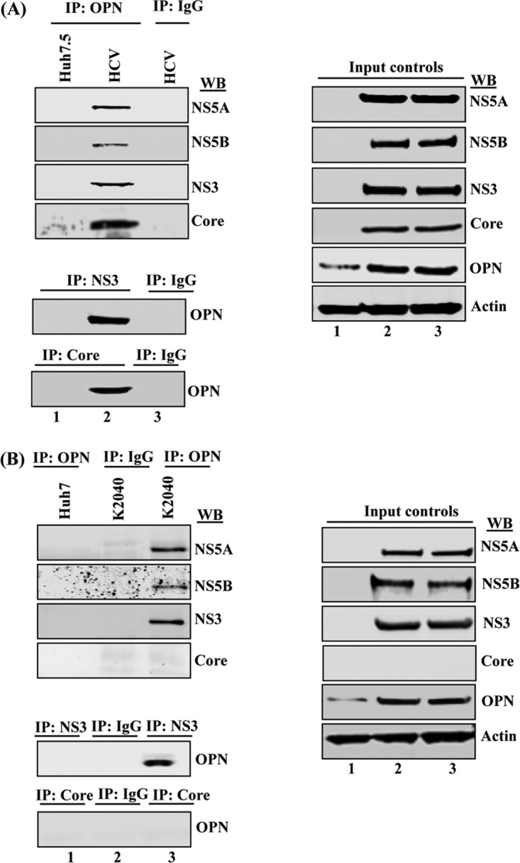 FIG 6