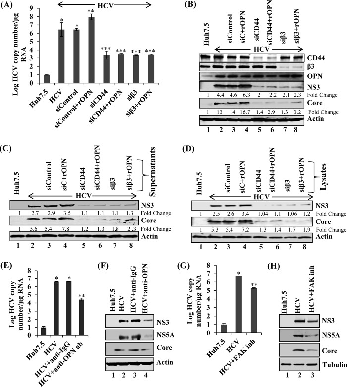 FIG 2