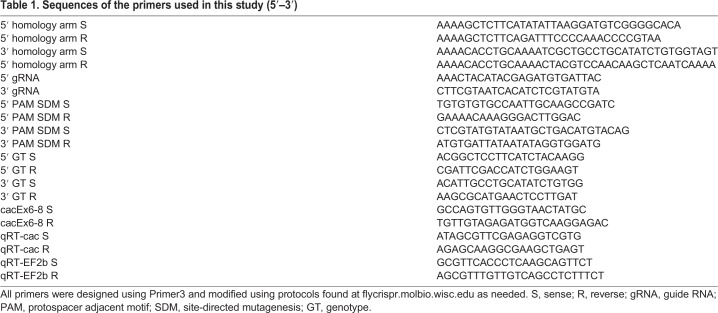 graphic file with name jexbio-222-191106-i1.jpg